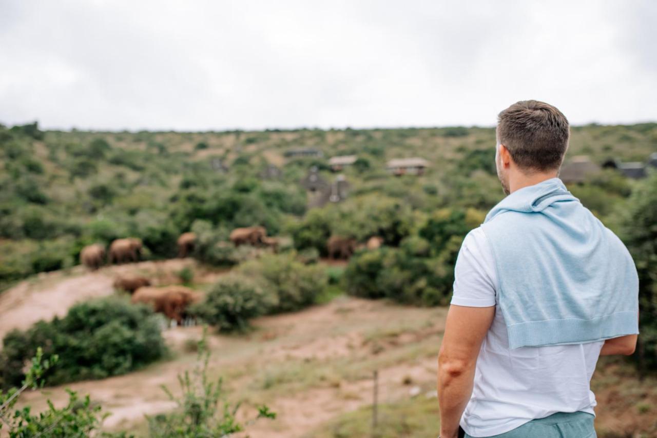 Bukela Game Lodge - Amakhala Game Reserve ภายนอก รูปภาพ