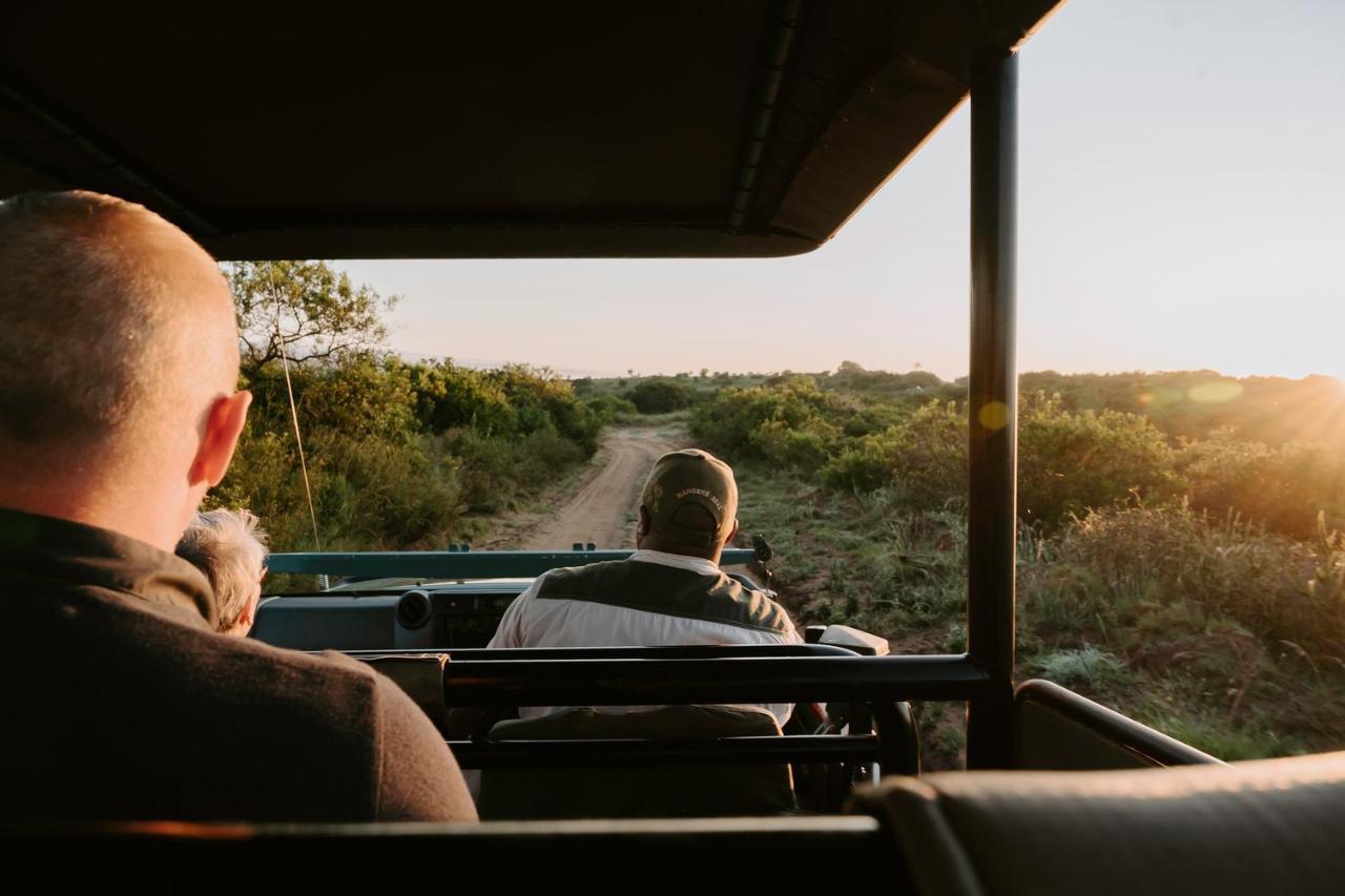 Bukela Game Lodge - Amakhala Game Reserve ภายนอก รูปภาพ