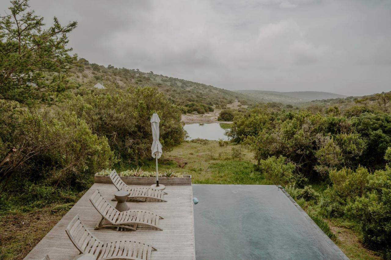 Bukela Game Lodge - Amakhala Game Reserve ภายนอก รูปภาพ