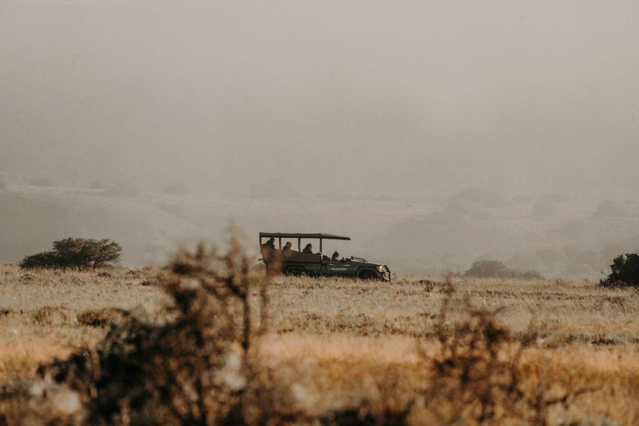 Bukela Game Lodge - Amakhala Game Reserve ภายนอก รูปภาพ