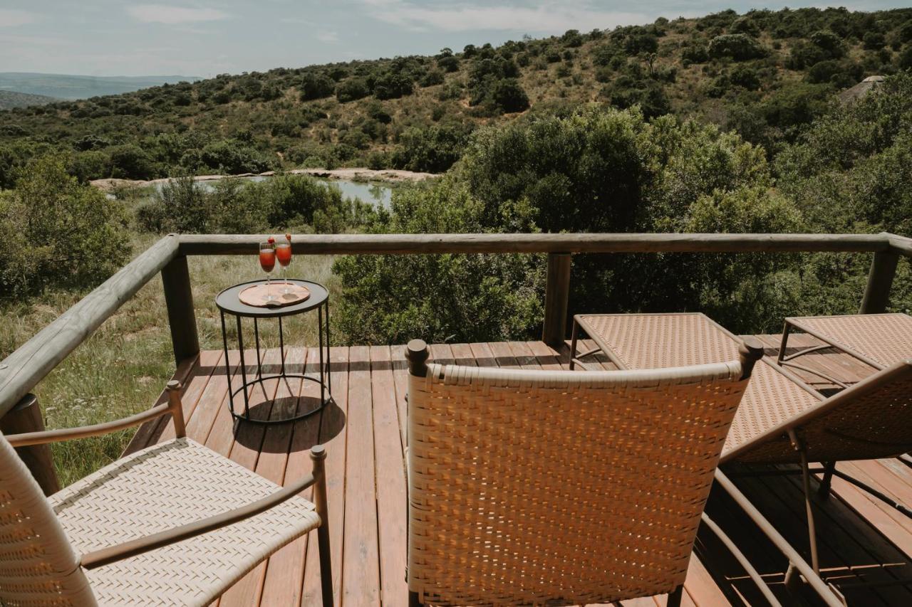Bukela Game Lodge - Amakhala Game Reserve ภายนอก รูปภาพ