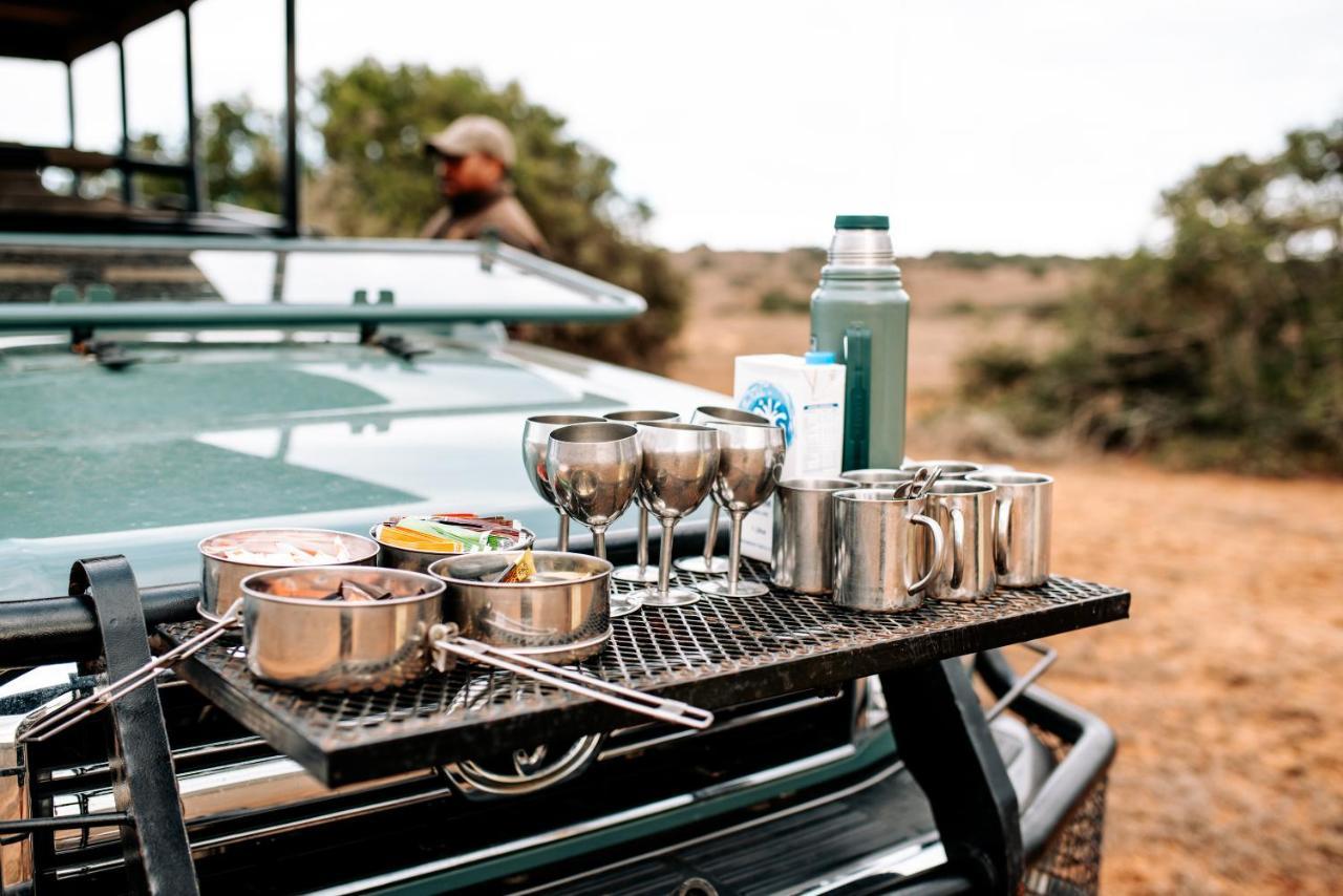 Bukela Game Lodge - Amakhala Game Reserve ภายนอก รูปภาพ