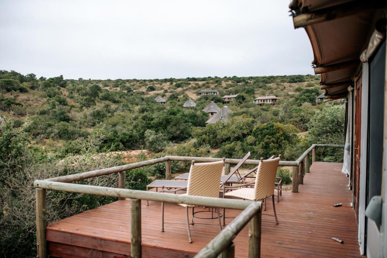 Bukela Game Lodge - Amakhala Game Reserve ภายนอก รูปภาพ