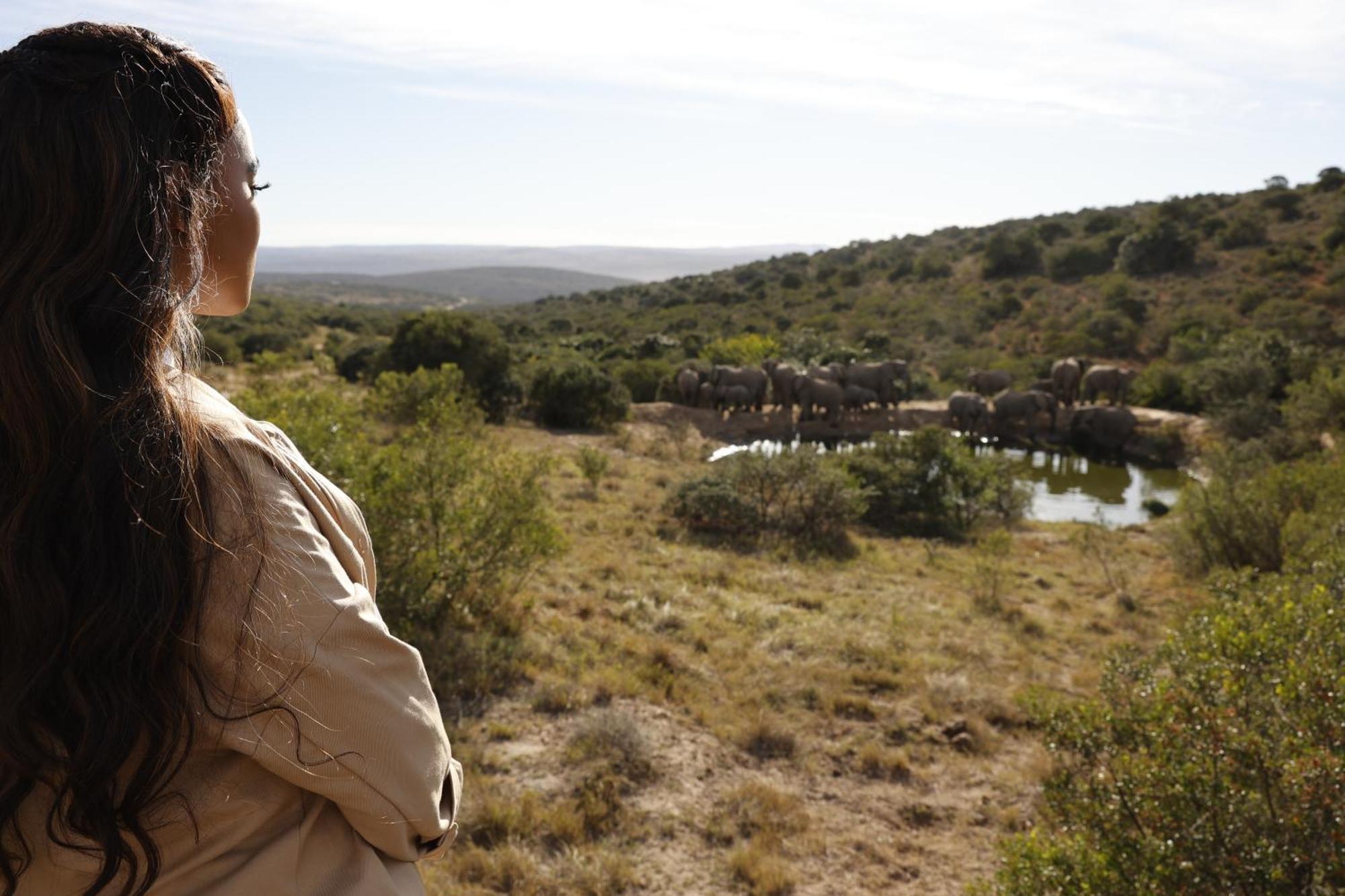 Bukela Game Lodge - Amakhala Game Reserve ภายนอก รูปภาพ