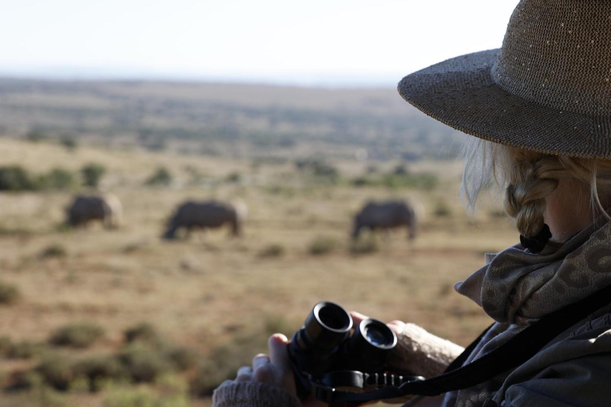 Bukela Game Lodge - Amakhala Game Reserve ภายนอก รูปภาพ